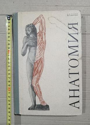 Книга анатомия а.с.гусев ю.п.сергеев
