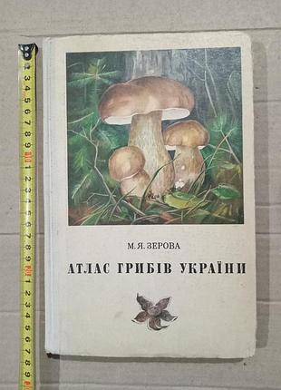 Книга м.я.зерова атлас грибів україни