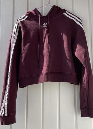Світшот жіночий adidas