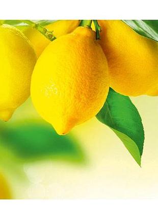 Серветка мікрофібра з малюнком 203 в упаковці
