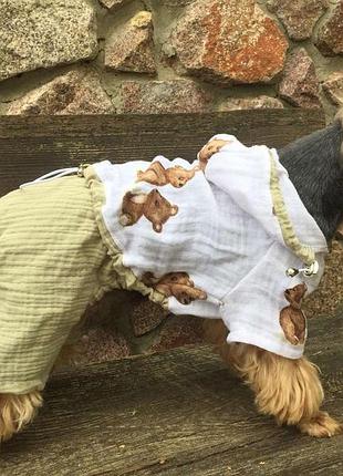 Dog style • летние комбинезоны для собак s