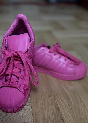 Adidas superstar x pharrell williams "shock pink"