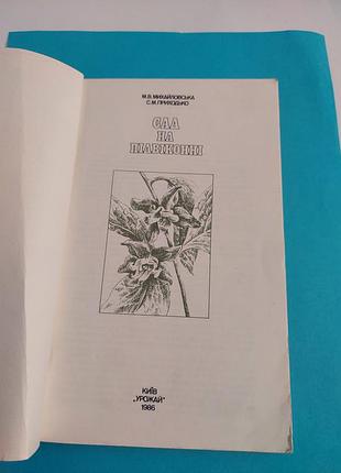 Книга. с
сад на підвіконні.