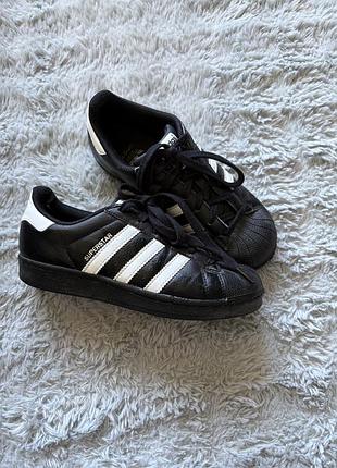 Adidas superstar  оригінал