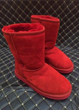 Уггi ugg australia classic - 38 (24см)