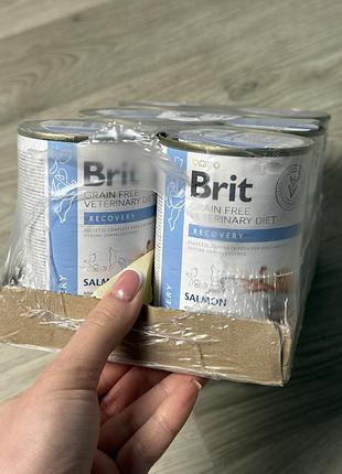 Brit gf veterinary diets recovery — вологий корм, лосось, 400гх6