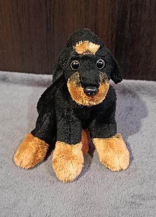 Собака, щенок, ротвейлер, yomiko collection, randy