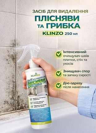 Средство для удаления плесени и грибка klinzo 250 мл — интенсивный очиститель швов плитки, стен и откосов, уничтожитель спор и зап