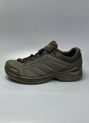 Кросівки тактичні lowa maddox gtx lo tf олива