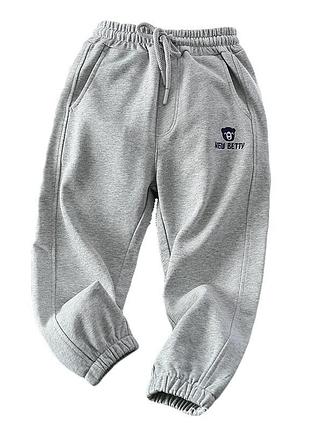Спортивные штаны на мальчика new betty арт 7192/2 (110 см)
