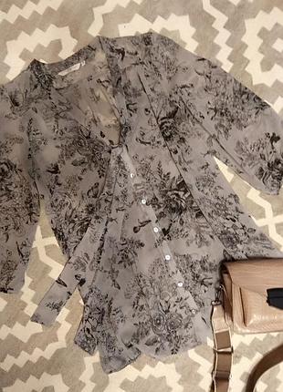 Блуза з принтом