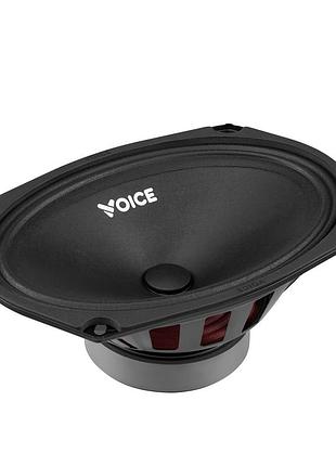 Естрадна акустика voice st-69