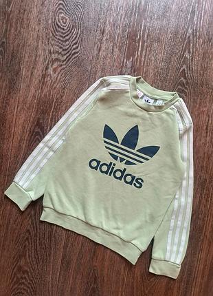 Свитшот adidas