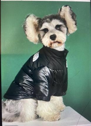 Брендова курточка - пуховик для собак the dog face без капюшона, на блискавці ,чорна