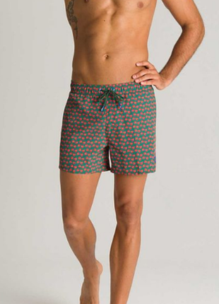 Мужские пляжные шорты arena m jimbaran short wood green red