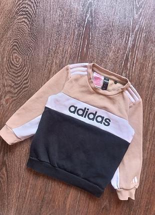 Свитшот adidas