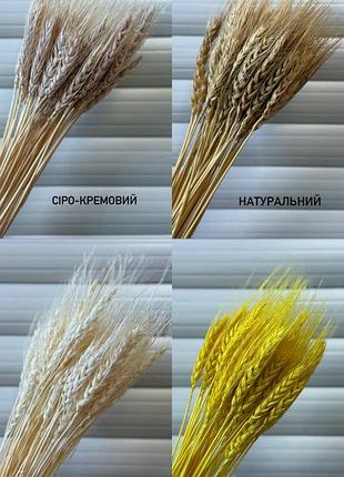 Пшеница натуральная