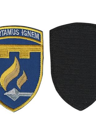 Шеврон військовий/алмійський, 11 обспн, на липучці, на синьому, всу 10 см*7 см