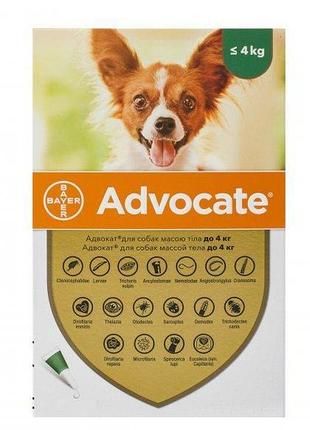 Капли bayer advocate для собак до 4 кг (от блох, вшей, власоедов, клещей), адвокат 3 пипетки х 0,4 мл