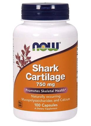 Акулий хрящ 750 мг, shark cartilage, now foods — природный источник глюкозамина, хондроитина и кальция, 100 капсул