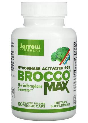 Мирозиназа экстракт брокколи broccomax jarrow formulas 60 капсул — активированный сульфорафан для иммунитета и печени