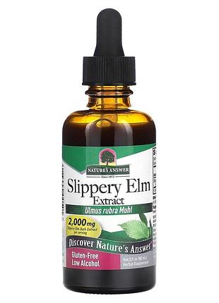 Слизький в'яз, 2000 мг, slippery elm extract, nature's answer, 60 мл