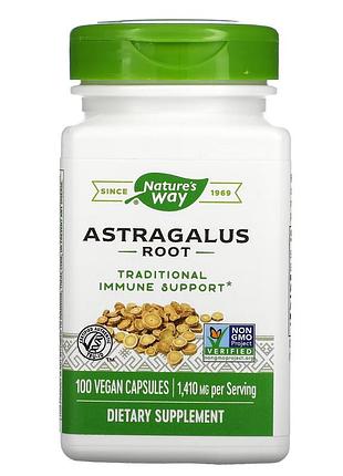 Корінь астрагалу, astragalus root, nature's way, 470 mg, 100 капсул
