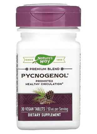 Пікногенол, екстракт сосновій кори, pycnogenol, pine bark extract, nature's way, 50 мг, 30 таблеток