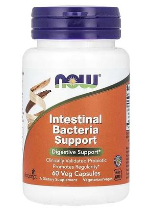 Підтримка бактерій кишечника, intestinal bacteria support, now foods, 60 капсул