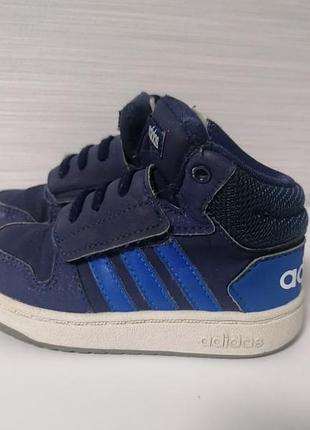 Хайтопы adidas