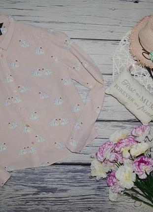 12/м фірмова натуральна жіноча сорочка блуза блузка лебеді new look