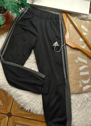 Спортивные штаны adidas