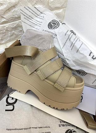 Жіночі уггі ugg  сандалі/босоніжки на платформі ugg goldenrise на платформі ugg goldenrise mdsd уггі