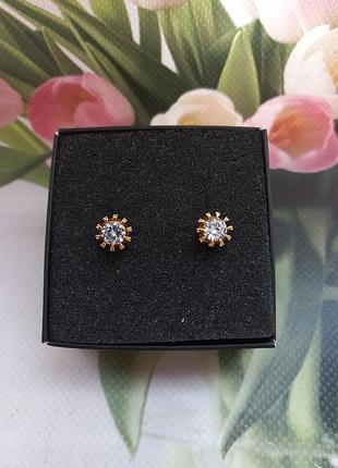 Сережки сережки