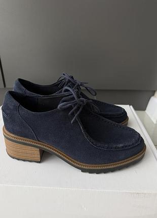 Туфлі clarks натуральна замша