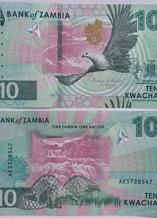 10 квача 2024 год банкнота замбия африка unc