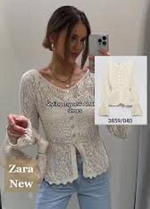 Zara кардинал 6
