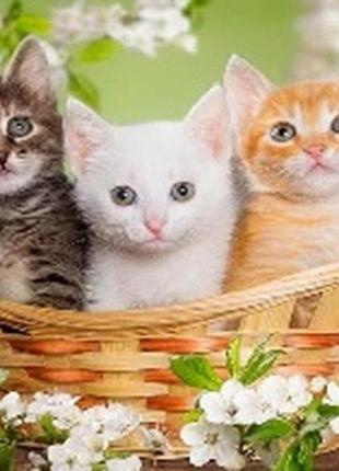 Алмазна мозаїка вишивка на картоні милі котики часткова 5d 21х25 см 188659