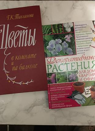 Квіти в кімнаті
