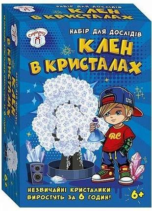Набір для експериментів. клен в кристалах (білий)