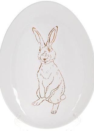 Блюдо керамическое овальное с рисунком bunny 27см, цвет - белый с золотом