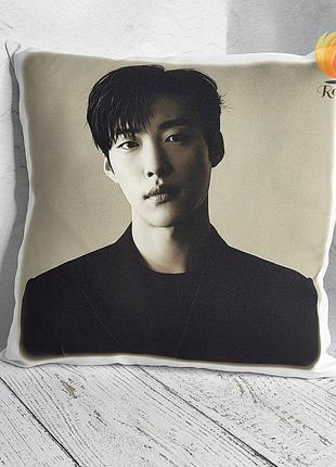 Подушка з малюнком "у до хван" (woo do hwan)