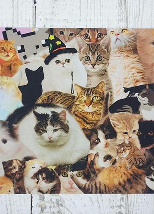 Килимок для миші “мемні котики 2” — 20×24 см, яскравий принт