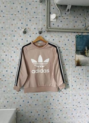 Свитшот adidas.