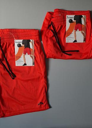Шорты мужские crivit спортивные для тренировок, l 52/54, xl 56/58