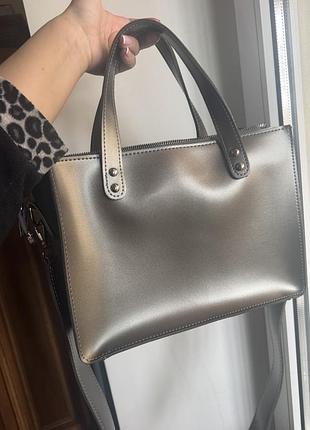 Срібляста сумка 2