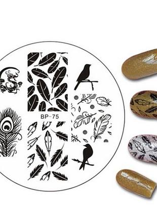 Диск для стемпинга born pretty bp-075