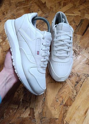 Оригінальні демісезонні шкіряні кросівки reebok classic
