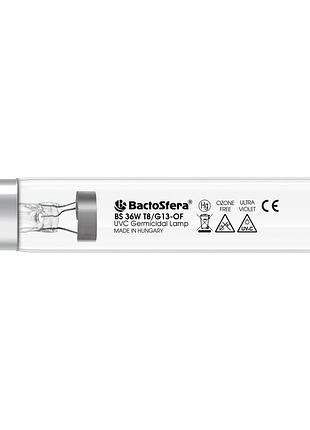 Bactosfera bs 36w t8/g13-of