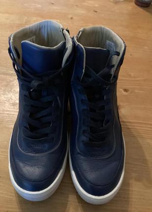 Lacoste кросівки чоловічі жіночі шкіряні оригінал sneakers casual високі кеди бренд